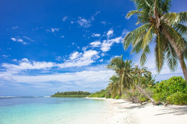 Où trouver une maison de vacances en Colombie avec des ateliers de tissage traditionnel et des randonnées dans la jungle?